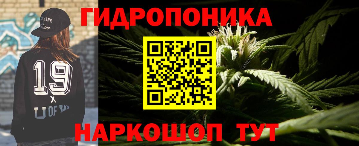 Конопля планчик Нягань